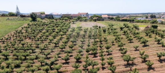 Grundstück in Cadaval, Portugal, Nr. 221107 4