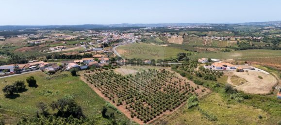 Grundstück in Cadaval, Portugal, Nr. 221107 3