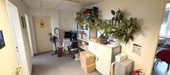 6-Zimmer Gebäude in Trier, Germany, Nr. 227685 7