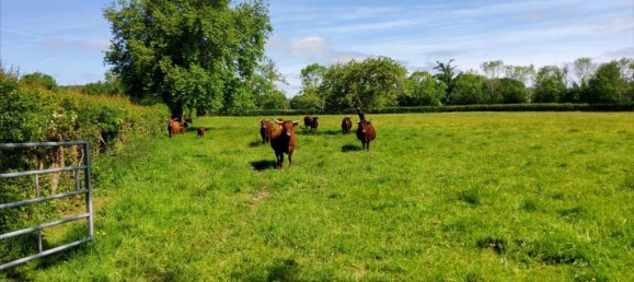 4 bedrooms House in Calvados, France No. 362168 17