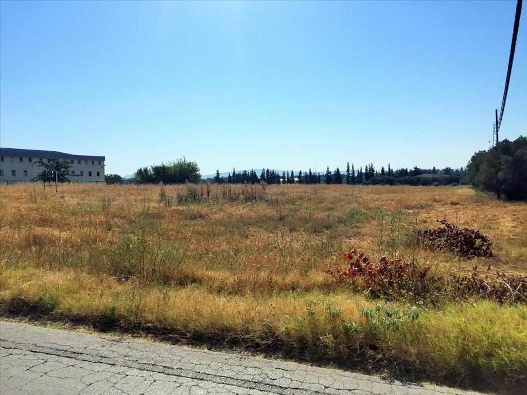 15240m² Hotel in Thermi, Greece No. 5464