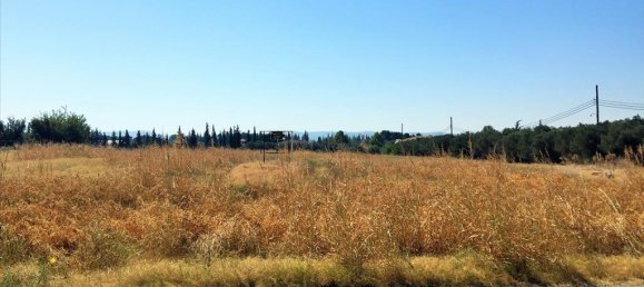 15240m² Hotel in Thermi, Greece No. 5464 3