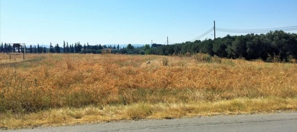 15240m² Hotel in Thermi, Greece No. 5464 2