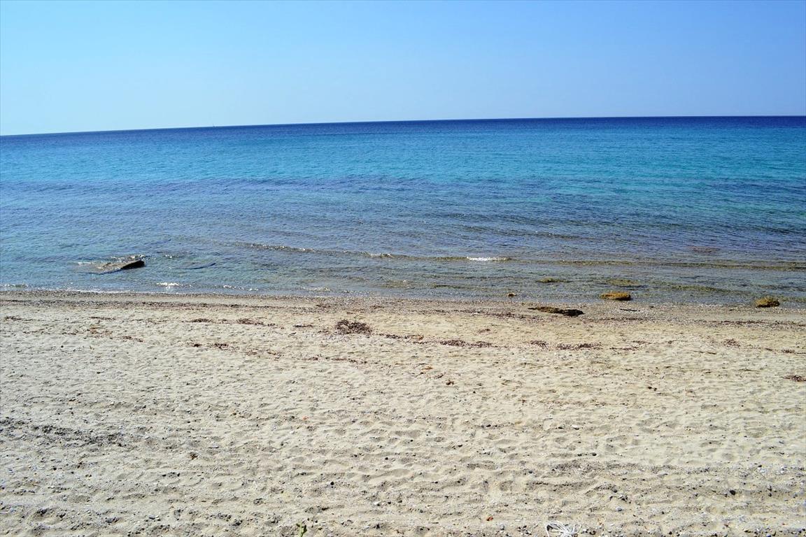 12500m² Hotel in Chalkidiki, Greece No. 7128