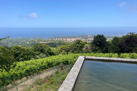 7 bedrooms House in Sintra, Portugal No. 291344