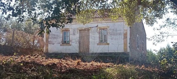 1 bedroom House in Mouriscas, Portugal No. 182713 12