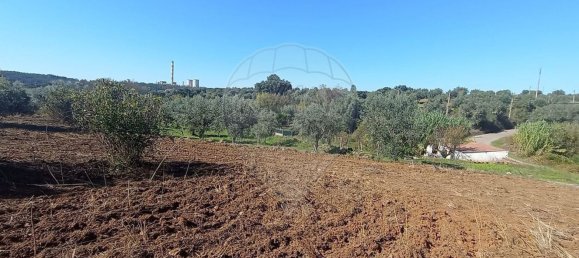 1 bedroom House in Mouriscas, Portugal No. 182713 9