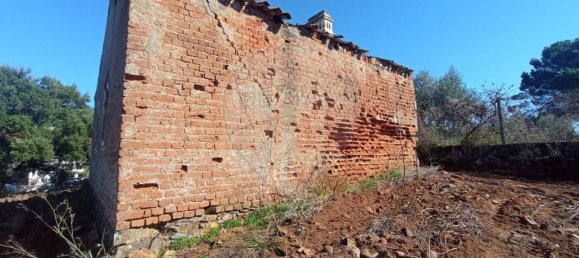 1 bedroom House in Mouriscas, Portugal No. 182713 6