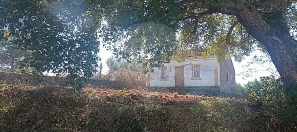 1 bedroom House in Mouriscas, Portugal No. 182713 2