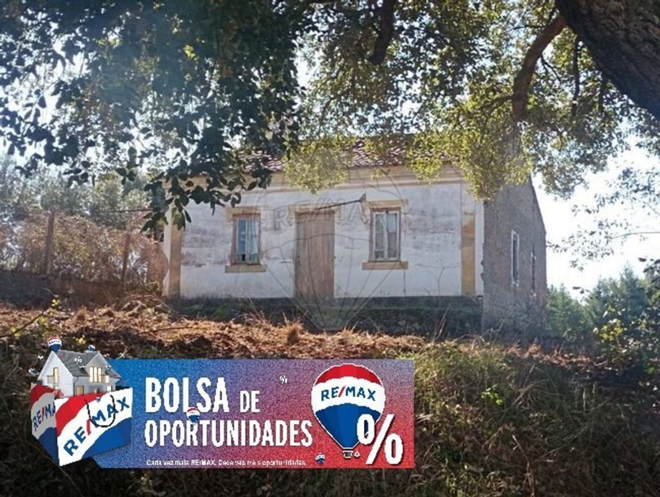 1 bedroom House in Mouriscas, Portugal No. 182713