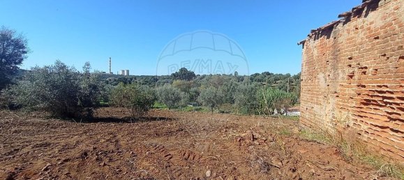 1 bedroom House in Mouriscas, Portugal No. 182713 11