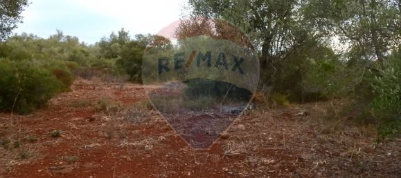 Terreno em São Bartolomeu de Messines, Portugal 24480 m² N.º 38131 9