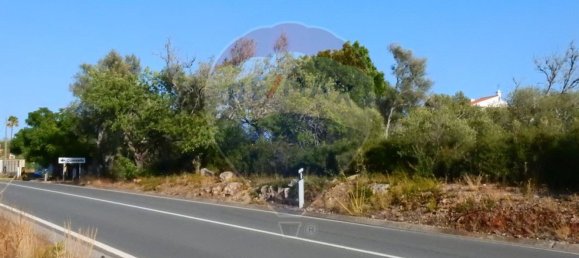 Terreno em São Bartolomeu de Messines, Portugal 24480 m² N.º 38131 8