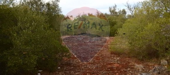 Terreno em São Bartolomeu de Messines, Portugal 24480 m² N.º 38131 13