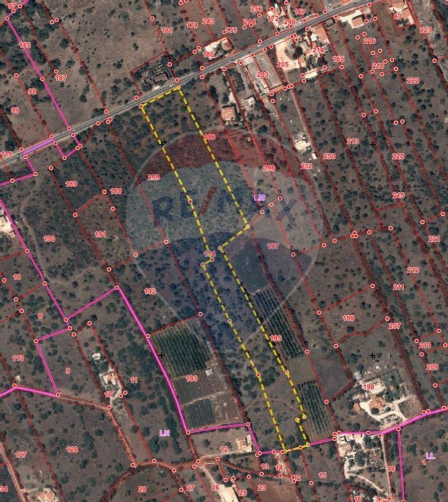 Terreno em São Bartolomeu de Messines, Portugal 24480 m² N.º 38131