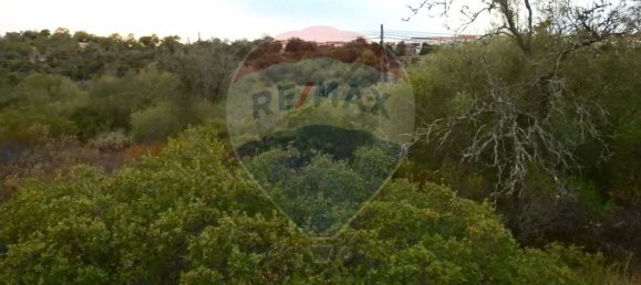 Terreno em São Bartolomeu de Messines, Portugal 24480 m² N.º 38131 4