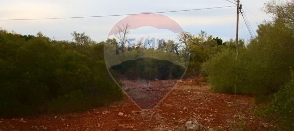 Terreno em São Bartolomeu de Messines, Portugal 24480 m² N.º 38131 5