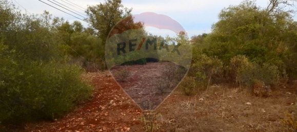 Terreno em São Bartolomeu de Messines, Portugal 24480 m² N.º 38131 7