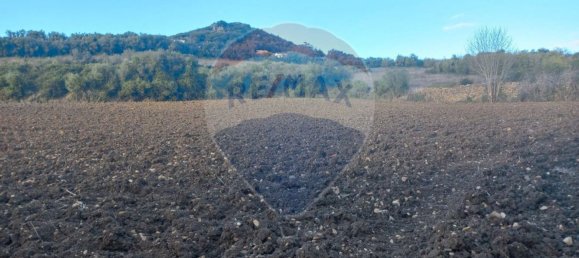 Grundstück in Mafra, Portugal 7250m², Nr. 67342 3