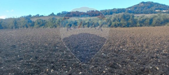 Grundstück in Mafra, Portugal 7250m², Nr. 67342 2