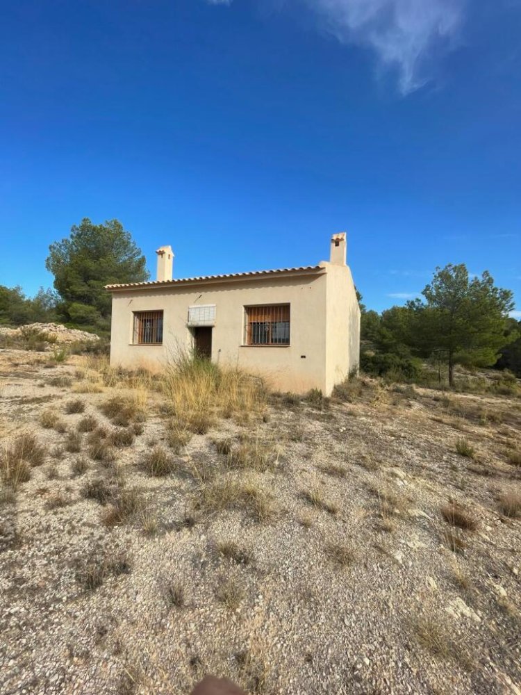 2 غرف نوم قطعة أرض في Pinoso, Spain رقم 261746