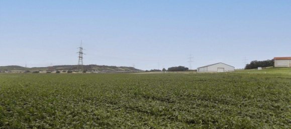  Land in Hagenbrunn, Austria No. 218751 8