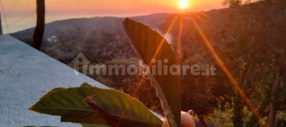 5-Zimmer Gebäude in Vico del Gargano, Italy, Nr. 256577 2