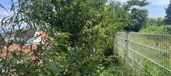 Casa T2 em Vendenheim, France N.º 265673 13