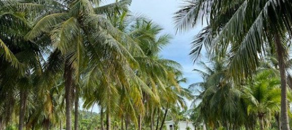 3 bedrooms Condo in Bang Sare, Thailand No. 22497 30