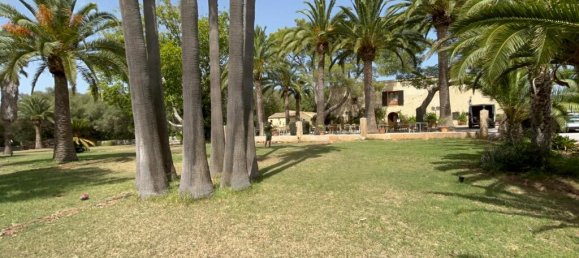 15 chambres Hôtel à Muro, Spain No. 259643 17