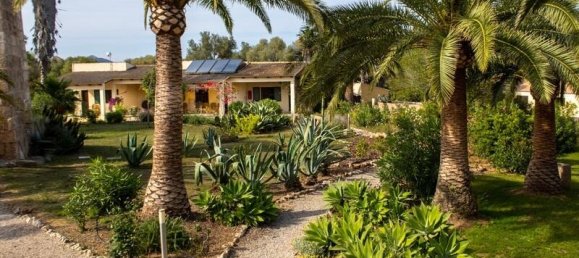 15 chambres Hôtel à Muro, Spain No. 259643 2