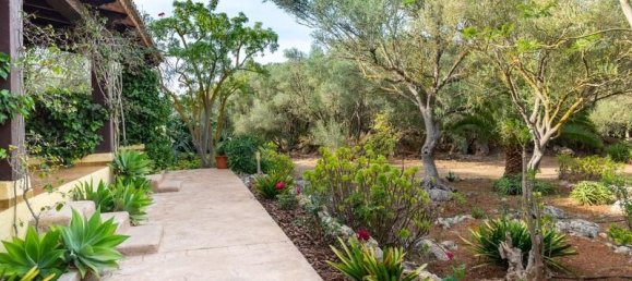 15 chambres Hôtel à Muro, Spain No. 259643 7