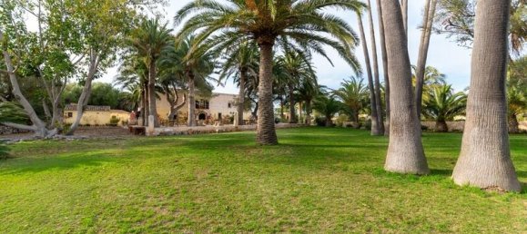 15 chambres Hôtel à Muro, Spain No. 259643 14