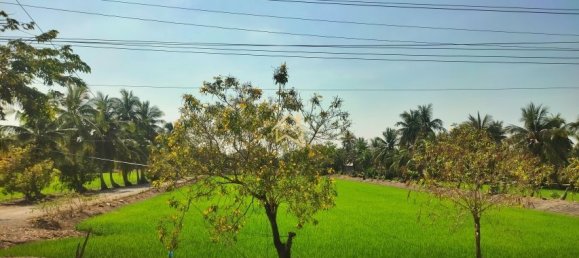 Земельный участок 7036м² в Нонтхабури, Таиланд № 73498 2