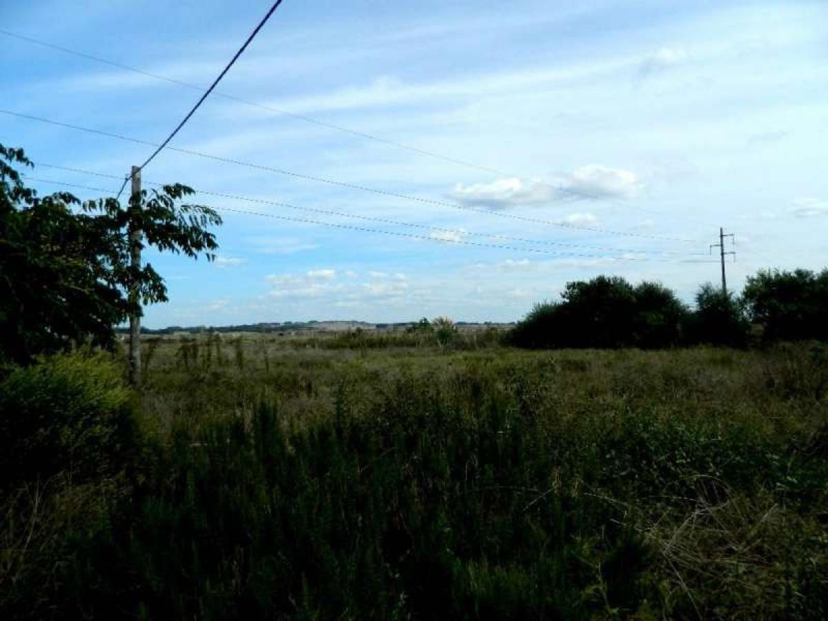  قطعة أرض في Maldonado, Uruguay رقم 15972