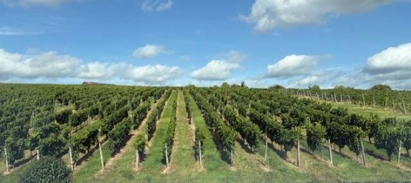 10 rooms House in Bad Kreuznach, Germany No. 304285 6