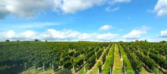 10 rooms House in Bad Kreuznach, Germany No. 304285 7