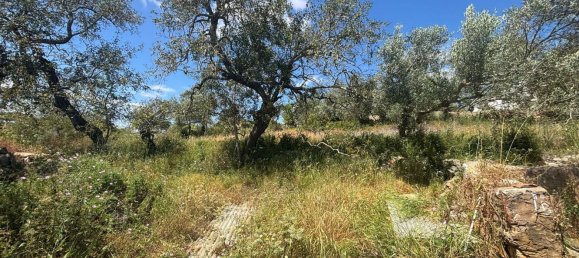 2 Schlafzimmer Haus in Tavira, Portugal, Nr. 305098 7