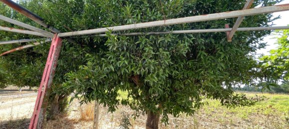 استوديو في Cutrofiano, Italy رقم 288520 17