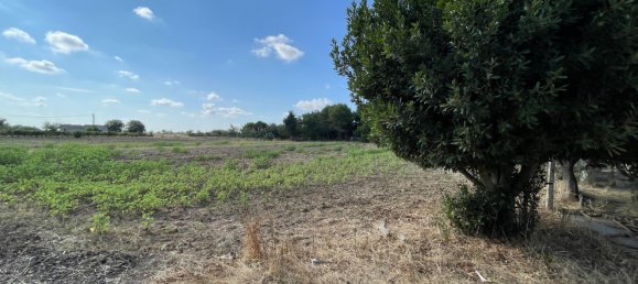 استوديو في Cutrofiano, Italy رقم 288520 16