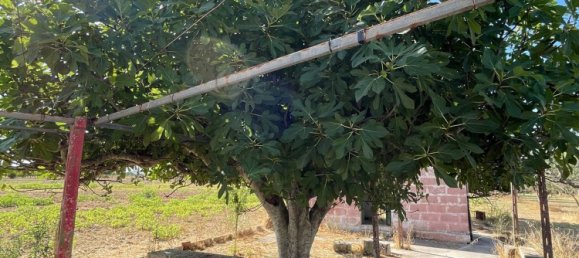 استوديو في Cutrofiano, Italy رقم 288520 6