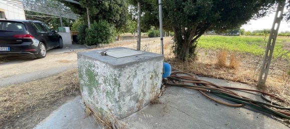 استوديو في Cutrofiano, Italy رقم 288520 15