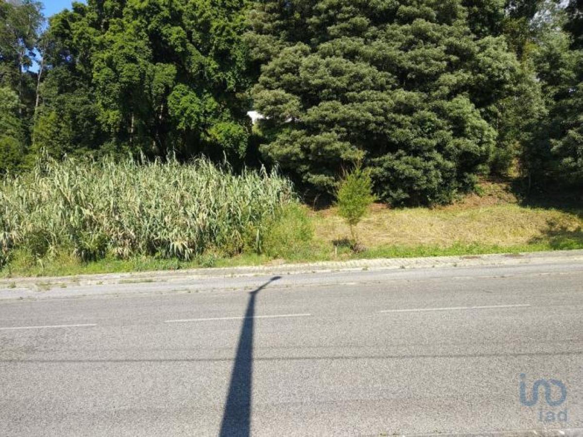  قطعة أرض في Leiria, Portugal رقم 2149