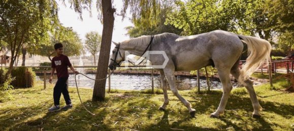 2 bedrooms Apartment in Yas Island, UAE No. 47853 19