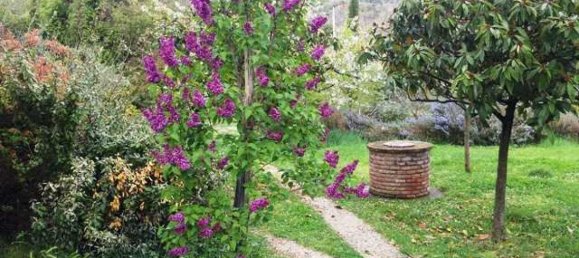 Studio in Cortona, Italy, Nr. 1404 4