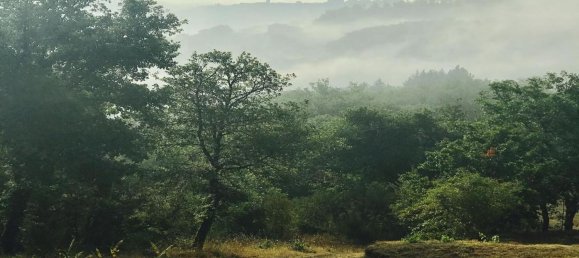 Casa de 12 divisões em Poppi, Italy N.º 55581 39