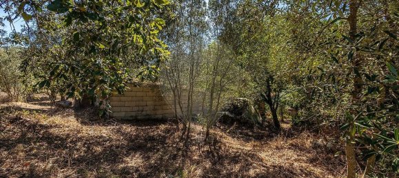 3 bedrooms House in Porto de Mos, Portugal No. 28515 8