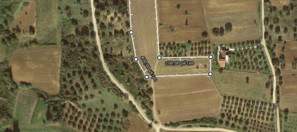 Hotel em Chalkidiki, Greece 9000 m² N.º 4271 10