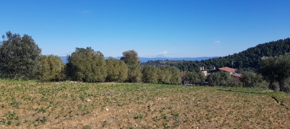 9000m² Hotel in Chalkidiki, Greece No. 4271 3