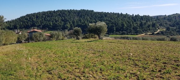 9000m² Hotel in Chalkidiki, Greece No. 4271 7